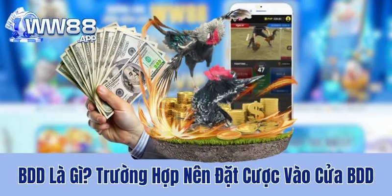 BDD Là Gì? Trường Hợp Nên Đặt Cược Vào Cửa BDD 1 WW88 giải thích khái niệm BDD là gì và các trường hợp nên đặt cược vào cửa hoà