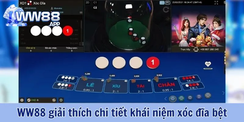 Xóc Đĩa Bệt Là Gì? Cách Chơi Xóc Đĩa Đơn Giản Từ Cao Thủ WW88 2 Xóc Đĩa Bệt WW88