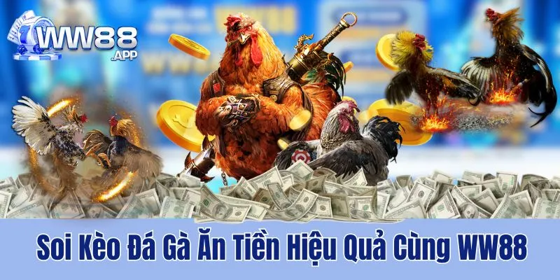 Soi Kèo Đá Gà Ăn Tiền Hiệu Quả Cùng WW88 10 WW88 hướng dẫn cách soi kèo đá gà ăn tiền thật hiệu quả, dễ áp dụng