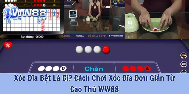 Xóc Đĩa Bệt Là Gì? Cách Chơi Xóc Đĩa Đơn Giản Từ Cao Thủ WW88 1 Xóc đĩa bệt - phương pháp bắt cầu bệt xóc đĩa chi tiết từ cao thủ cá cược