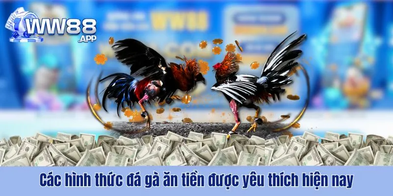 Soi Kèo Đá Gà Ăn Tiền Hiệu Quả Cùng WW88 3 Đá Gà Ăn Tiền WW88