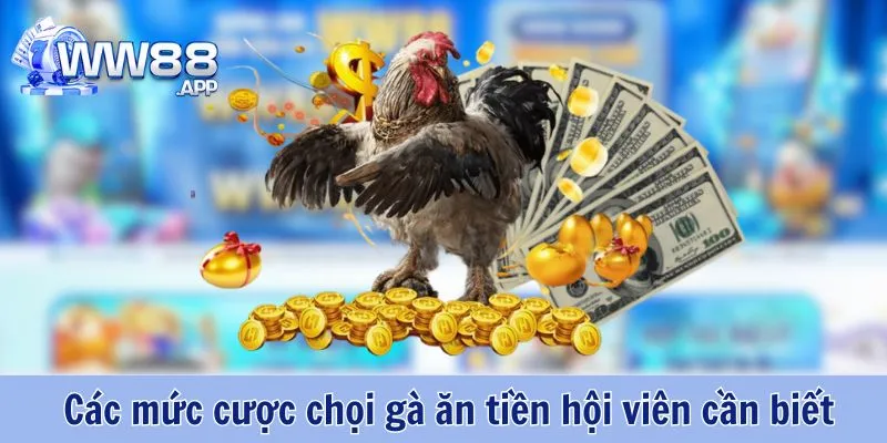 Soi Kèo Đá Gà Ăn Tiền Hiệu Quả Cùng WW88 5 Đá Gà Ăn Tiền WW88