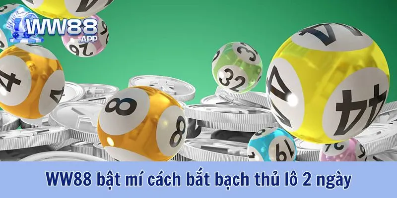 Hướng Dẫn Cách Bắt Bạch Thủ Lô Chuẩn Nhất 2025 3 Cách Bắt Bạch Thủ Lô WW88