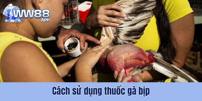Thuốc Gà Bịp - Thủ Thuật Ăn Gian Của Nhiều Sư Kê Hiện Nay 5 Thuốc Gà Bịp WW88