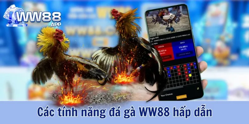 Đá Gà WW88 - Cá Cược Kịch Tính Cùng Trận Thi Đấu Hấp Dẫn 4 Đá Gà WW88