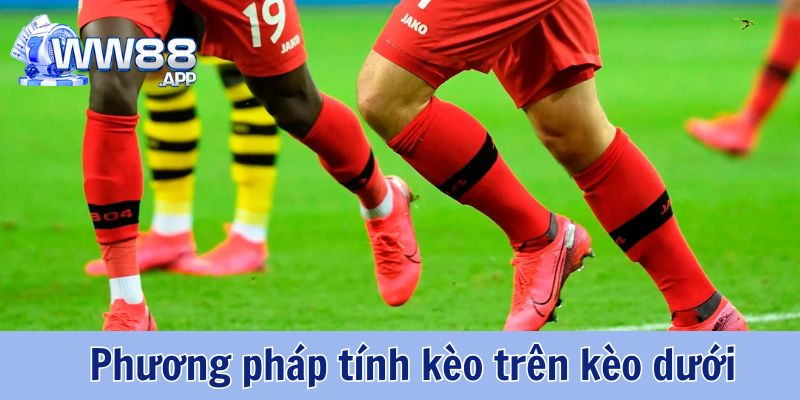 Bí mật kèo trên kèo dưới: Không chỉ là cá cược 4 Giải mã ma trận tỷ lệ WW88: Phương pháp tính kèo trên kèo dưới