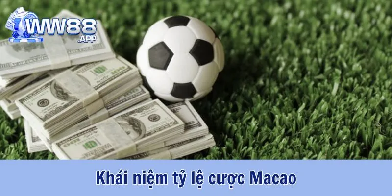 Tỷ Lệ Cược Macao - Cách Đọc Kèo Cược Macao Chuẩn Xác 2 Tỷ Lệ Cược Macao WW88