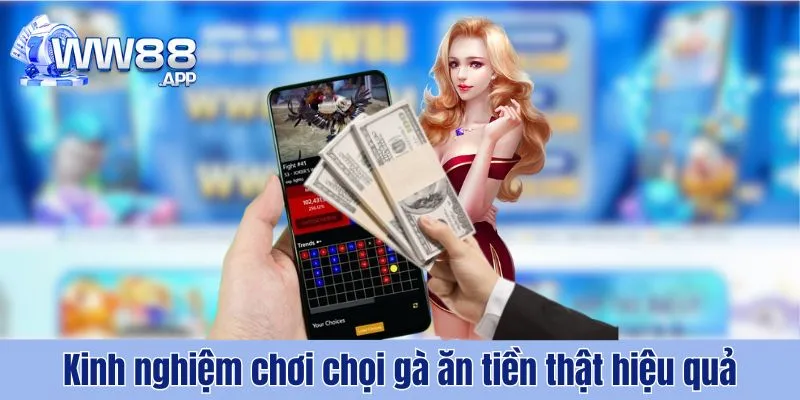 Soi Kèo Đá Gà Ăn Tiền Hiệu Quả Cùng WW88 4 Đá Gà Ăn Tiền WW88