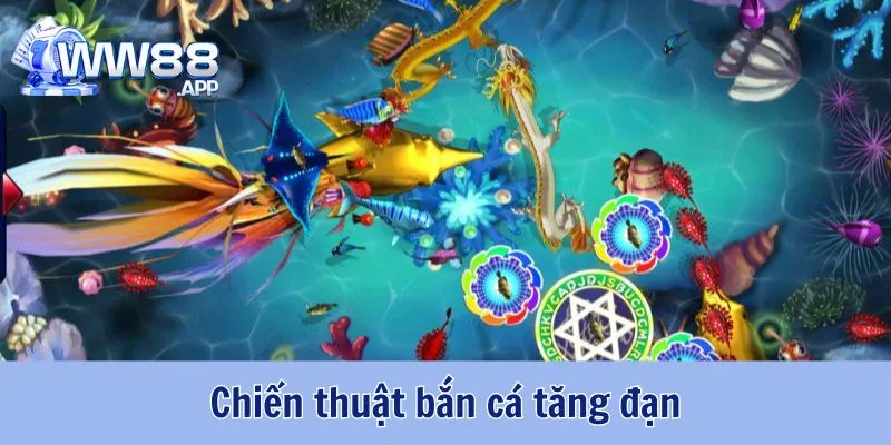 Mẹo Chơi Bắn Cá WW88 Ăn Chắc Từ Cao Thủ Cá Cược 5 Mẹo Chơi Bắn Cá WW88