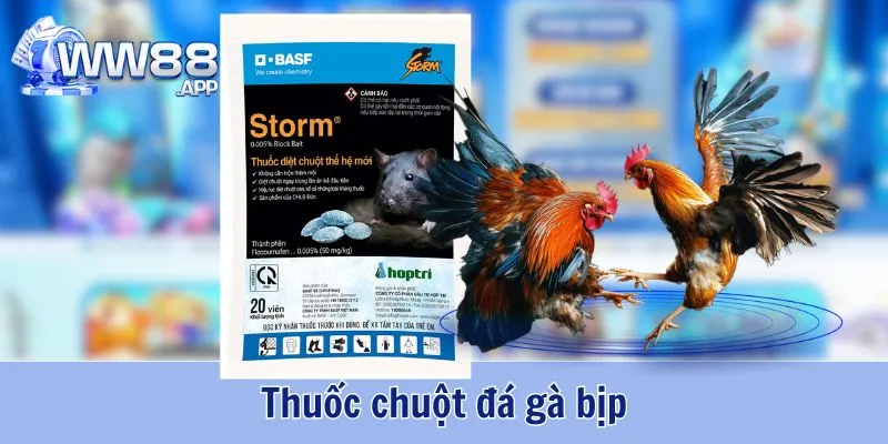 Thuốc Gà Bịp - Thủ Thuật Ăn Gian Của Nhiều Sư Kê Hiện Nay 2 Thuốc Gà Bịp WW88